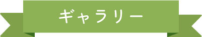 ギャラリー